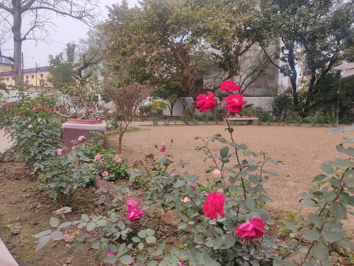 ורנאסי Vatika Homestay מראה חיצוני תמונה